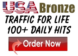 Bronze Traffic For Life
